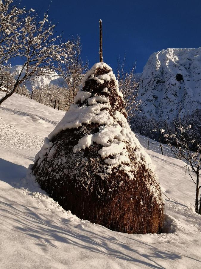 Mountain Lodge Forte Emilia コバリード エクステリア 写真