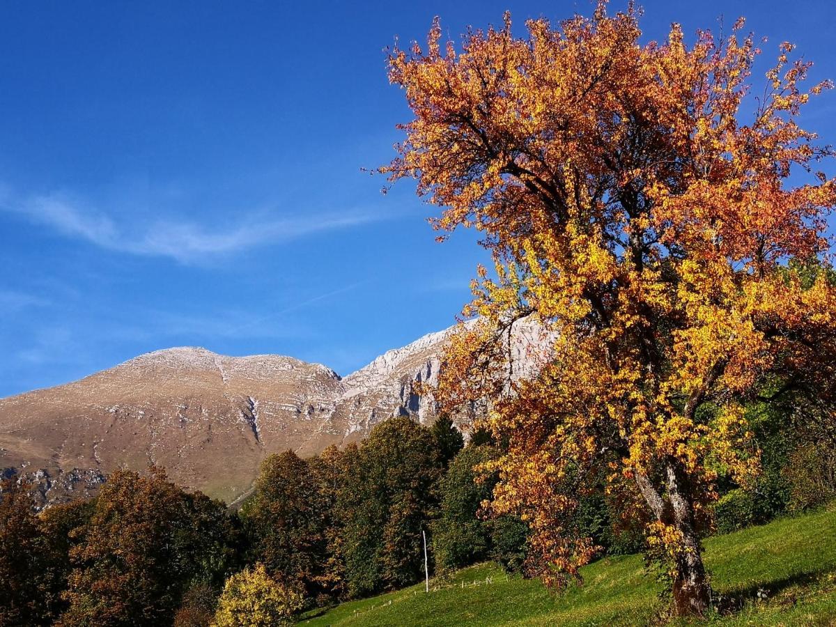 Mountain Lodge Forte Emilia コバリード エクステリア 写真